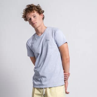 Men Prince Oliver T-Shirt Eco Γκρι V-Neck (Modern Fit) 2