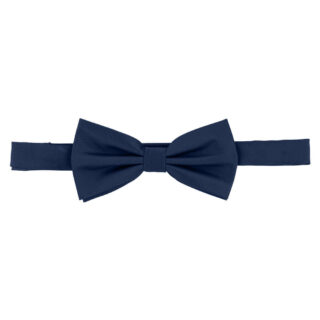 Accessories Prince Oliver Blue Bow Tie