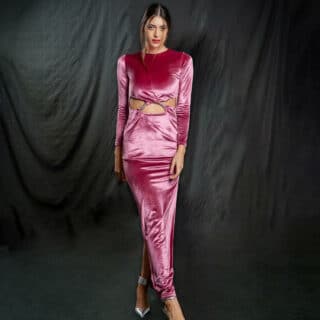 Clothing Woman’s Purple Maxi Velvet Dress