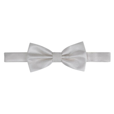 Prince Oliver Ecru Bow Tie