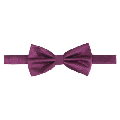 Prince Oliver Bow Tie Purple